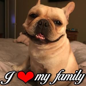 Meet your Posher, Renee